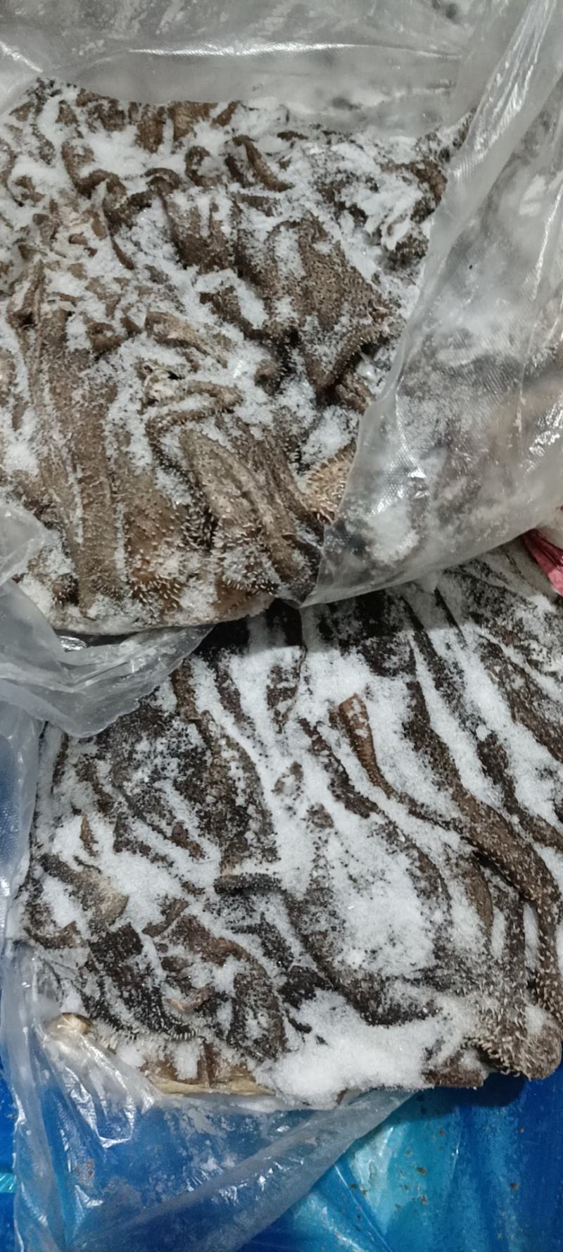 内蒙草地牛冻百叶，纯干无水不掉毛