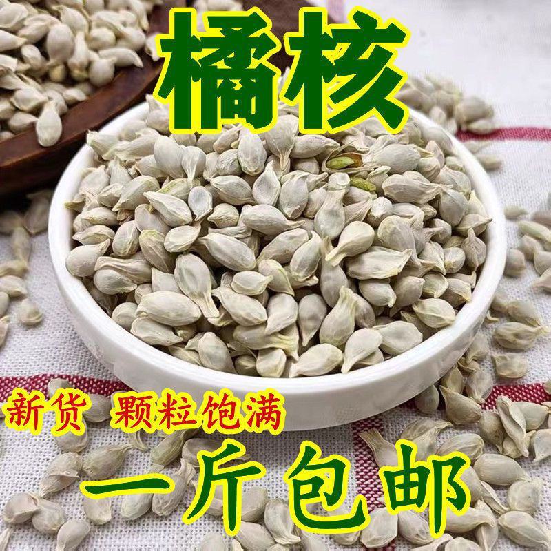 新货橘核优质橘子核无硫桔核子橘仁橘子籽桔子籽多规