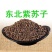 鸟食紫苏子大颗粒带壳紫苏子黑苏籽非食用级喂鸟