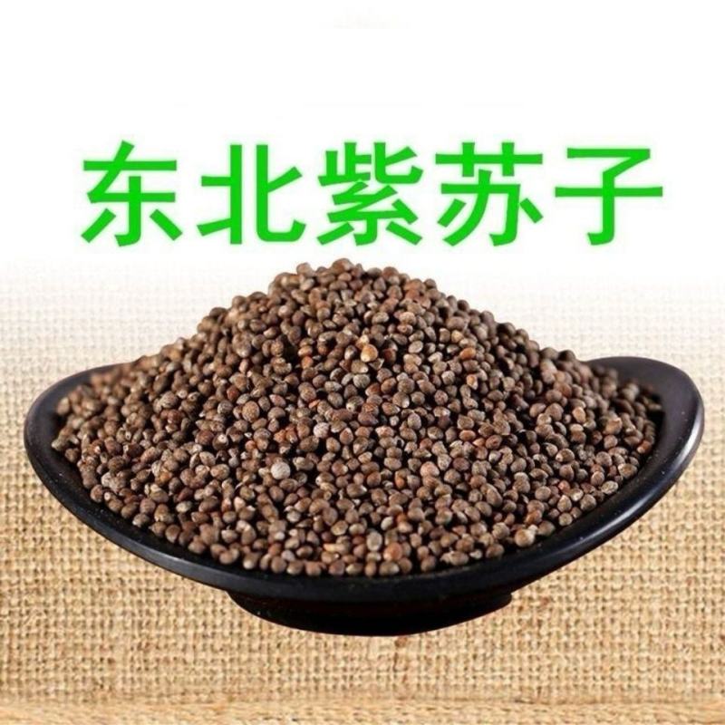 鸟食紫苏子大颗粒带壳紫苏子黑苏籽非食用级喂鸟