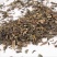 新货佩兰中药材野生佩兰香佩兰茶香味浓中草药包邮佩兰
