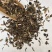 新货佩兰中药材野生佩兰香佩兰茶香味浓中草药包邮佩兰