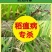 富士40%稻瘟灵水稻田稻瘟病苗瘟叶瘟穗颈瘟专用农药杀菌剂