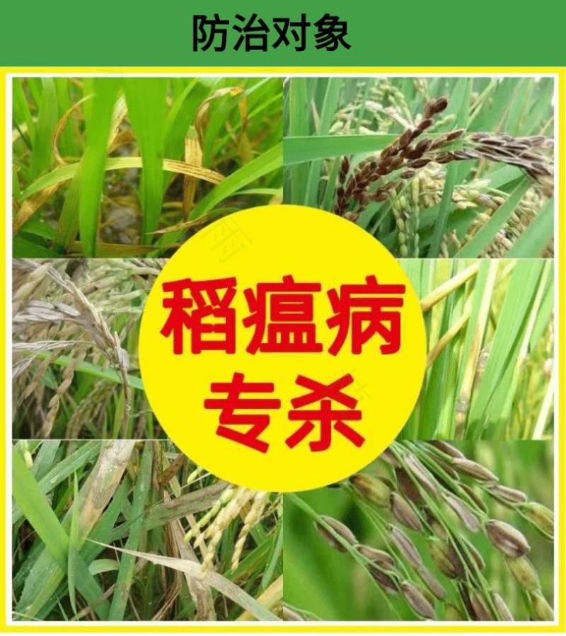 富士40%稻瘟灵水稻田稻瘟病苗瘟叶瘟穗颈瘟专用农药杀菌剂