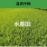 富士40%稻瘟灵水稻田稻瘟病苗瘟叶瘟穗颈瘟专用农药杀菌剂