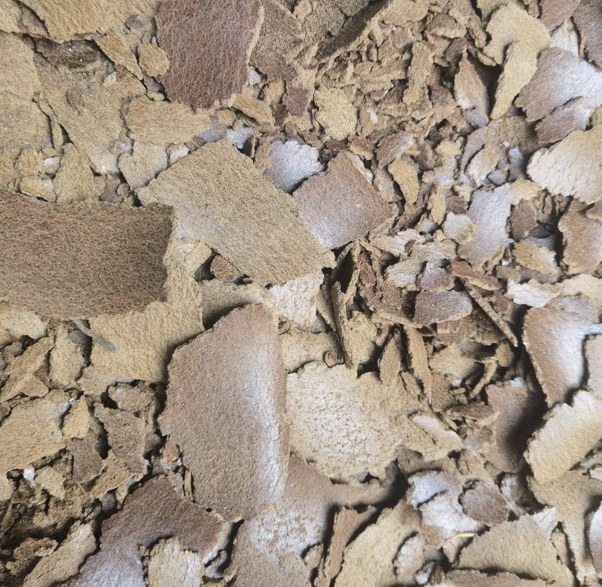 油菜籽显微结构与油脂提取过程示意图