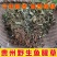 贵州野生中草药鱼腥草整棵折耳根干货天然野生养生茶泡水批发