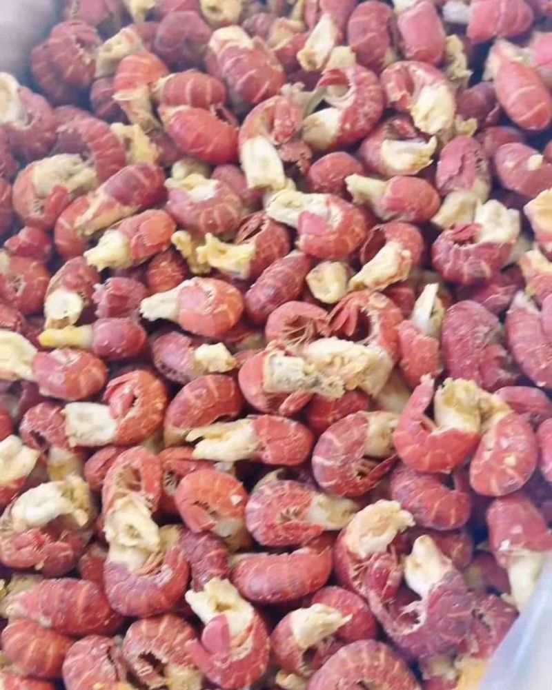 干冻龙虾尾