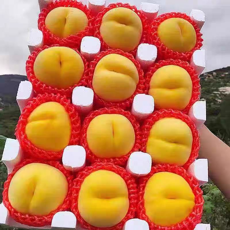 黄桃新鲜水果当季整箱5斤包邮应当季时令水蜜桃现摘现发毛桃
