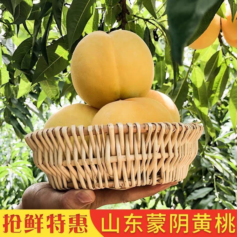 黄桃新鲜水果当季整箱5斤包邮应当季时令水蜜桃现摘现发毛桃