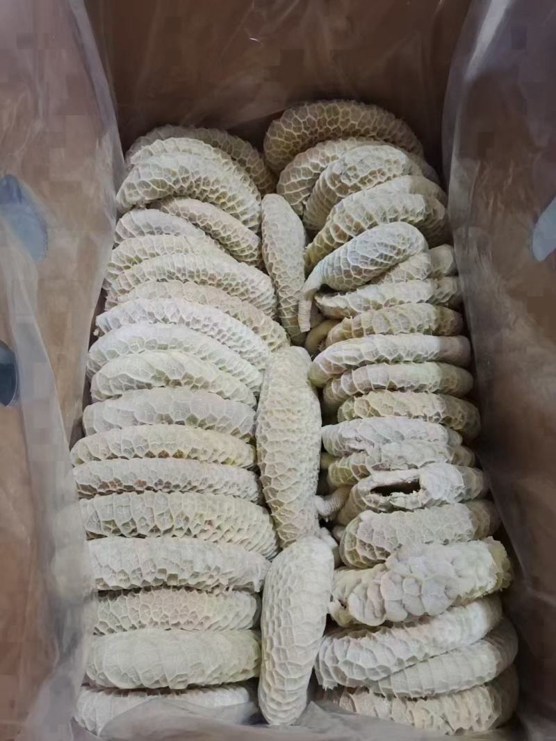 【熟食金钱肚】全熟水煮金钱肚精修无油一件三十斤
