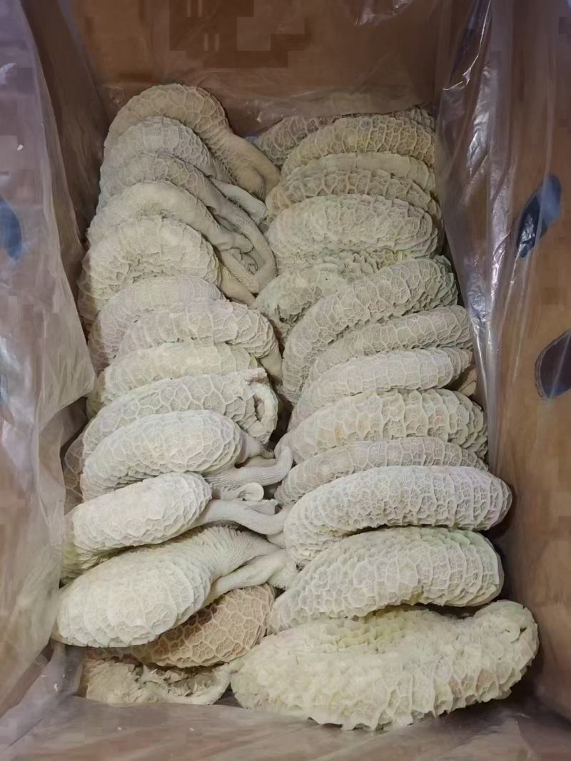 【熟食金钱肚】全熟水煮金钱肚精修无油一件三十斤