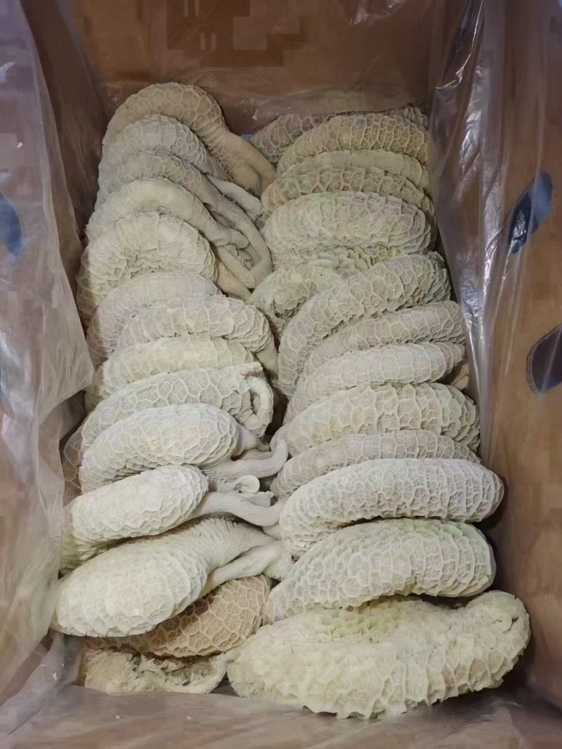 【熟食金钱肚】全熟水煮金钱肚精修无油一件三十斤