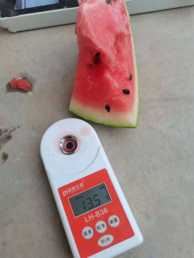 露天有籽美都