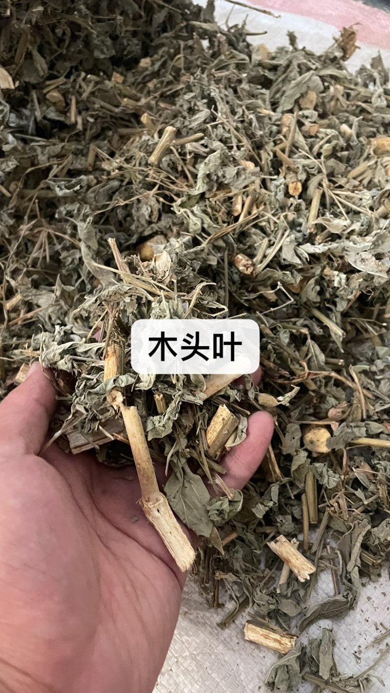 中药材批发木头叶批发价格产地直售包邮当天发货