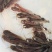 塘角鱼苗活体苗，易成活，养殖基地直发，品类齐全提供技术