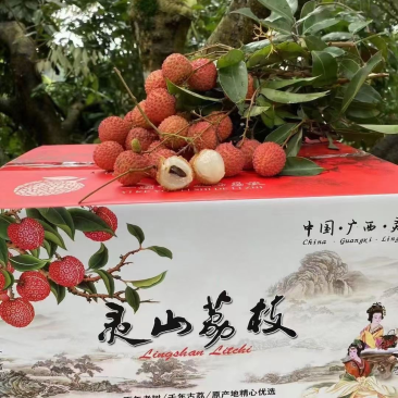 专业代加工烘干荔枝鸡嘴桂味香梨荔