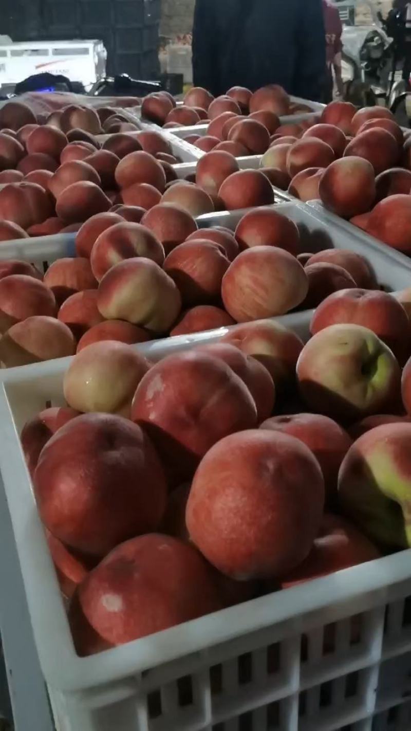 突围毛桃，，产地直销，大量供应，质量保证，需要的老板联系