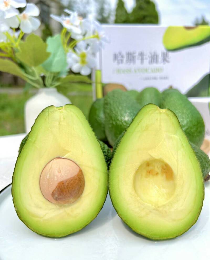 2025季哈斯牛油果口感软糯产地现摘现发