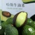 2025季哈斯牛油果口感软糯产地现摘现发