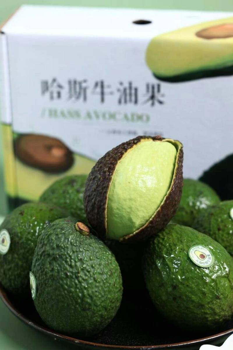 2025季哈斯牛油果口感软糯产地现摘现发