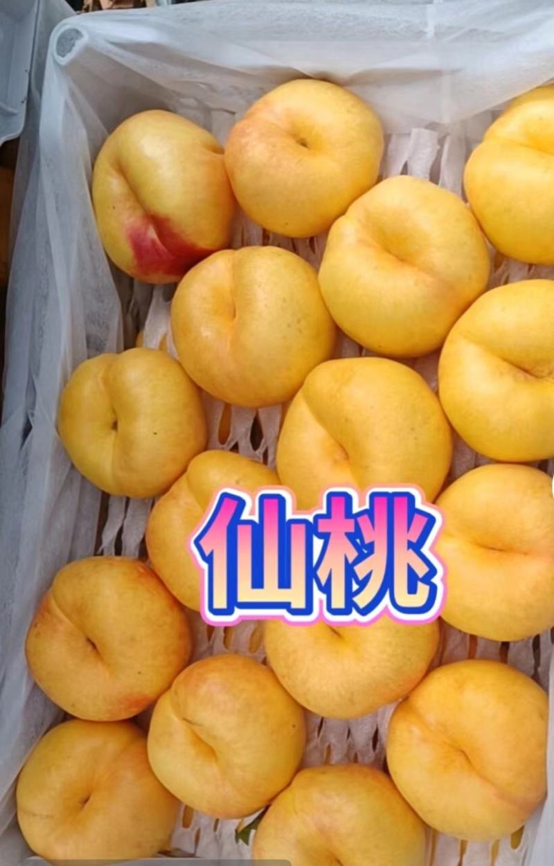 丹东蟠桃油桃油蟠桃货源充足代发全国对接各大电商
