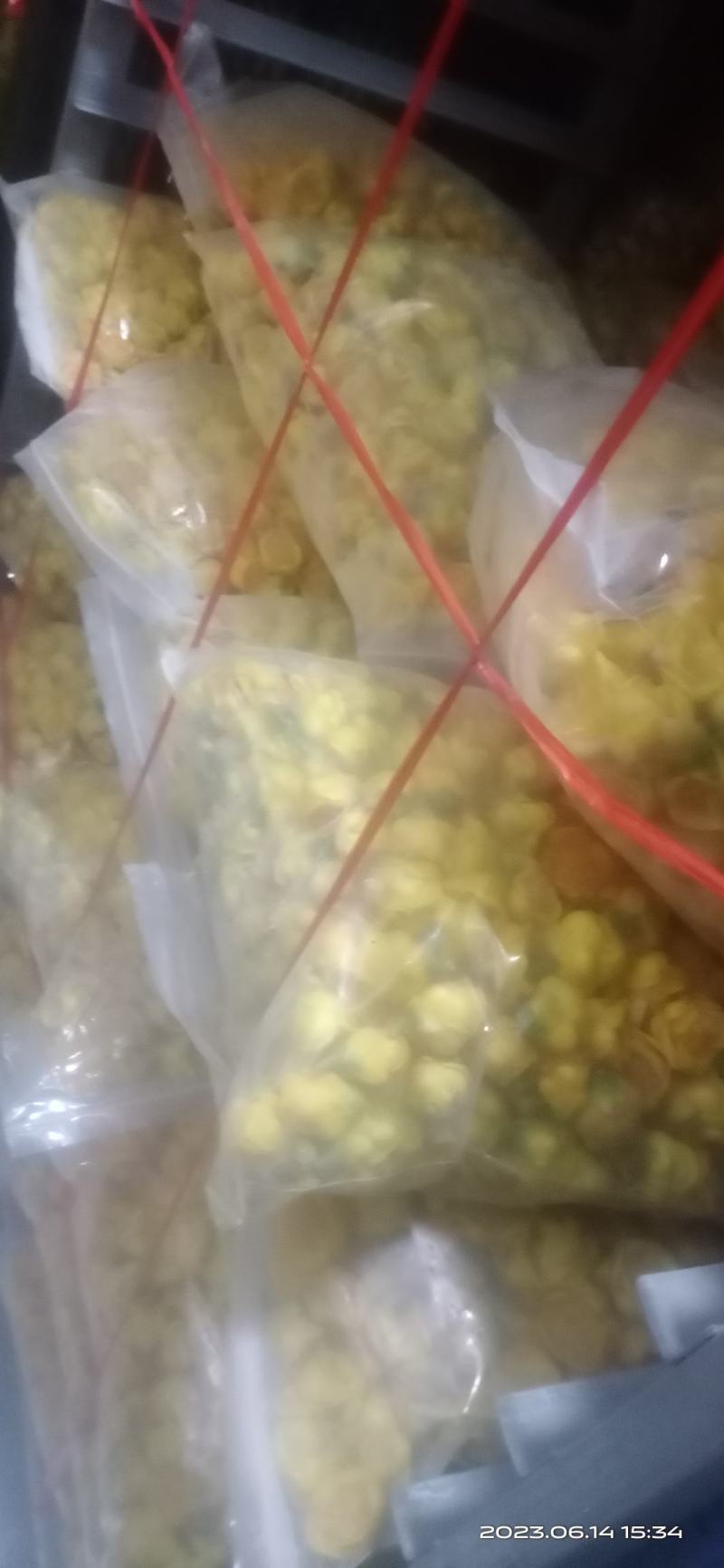 金花茶