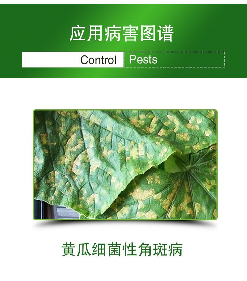 春雷溴菌腈炭疽病细菌角斑病蔓枯病青枯病溃疡病立枯病药