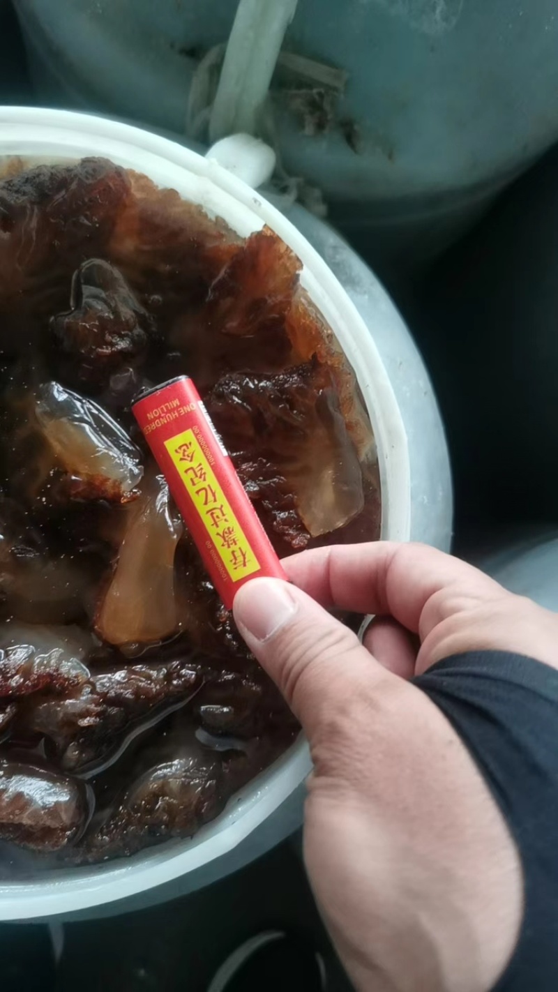 丹东东港当地海蜇/绵蜇大量有货规格齐全量大从优欢迎联系