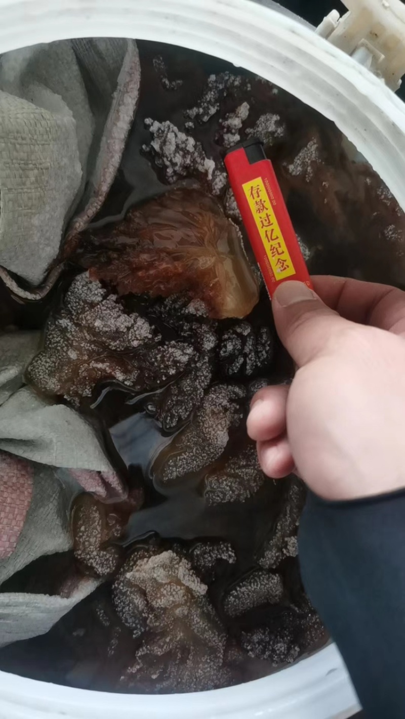 丹东东港当地海蜇/绵蜇大量有货规格齐全量大从优欢迎联系