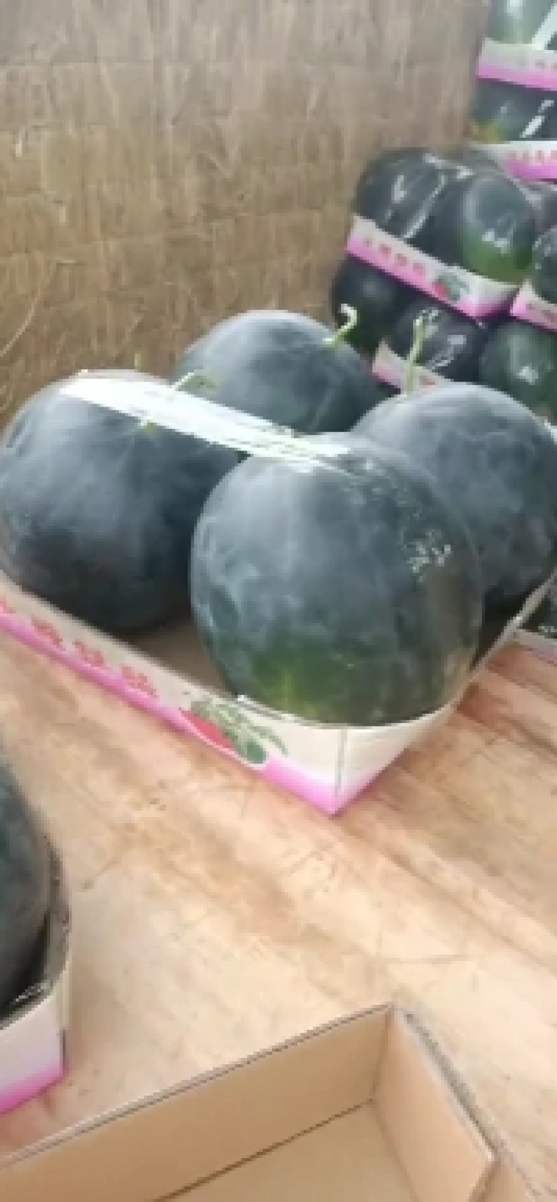 河南美都西瓜大量上市中，产地实发，一手货源，可支持视频看