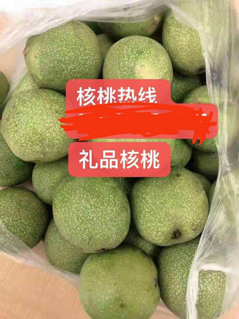 礼品2号核桃马上上市