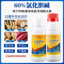 60%氯化胆碱红薯花生大蒜土豆根茎膨大素膨大剂地下植物