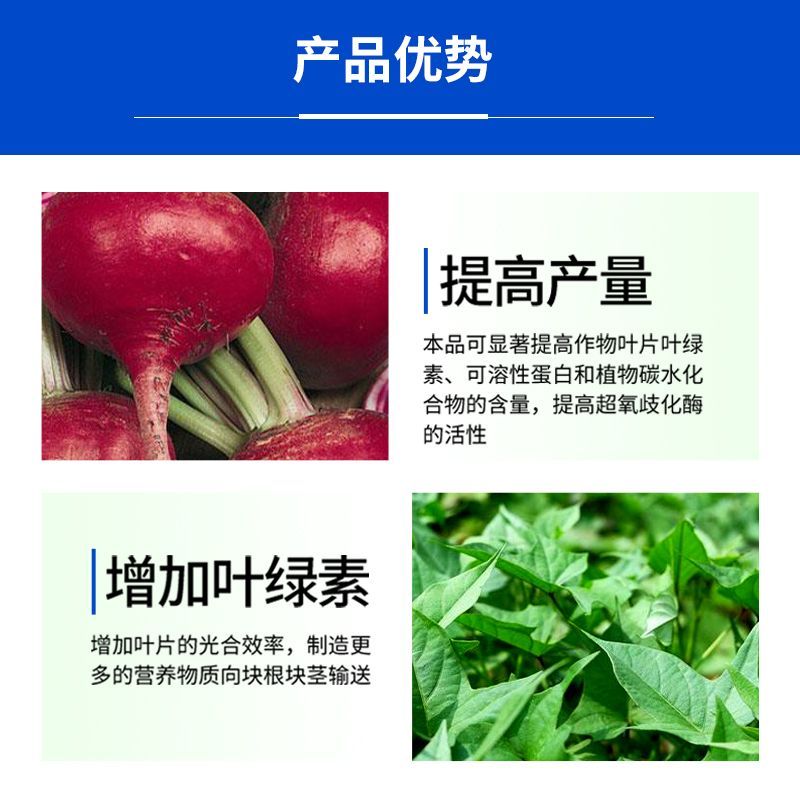 60%氯化胆碱红薯花生大蒜土豆根茎膨大素膨大剂地下植物