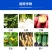 60%氯化胆碱红薯花生大蒜土豆根茎膨大素膨大剂地下植物