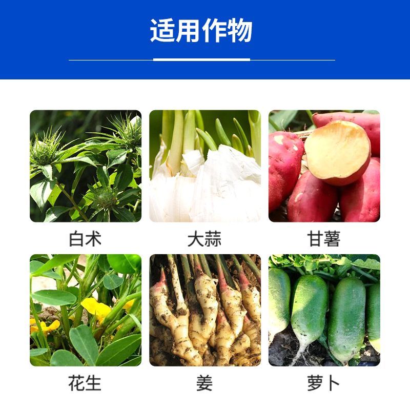 60%氯化胆碱红薯花生大蒜土豆根茎膨大素膨大剂地下植物