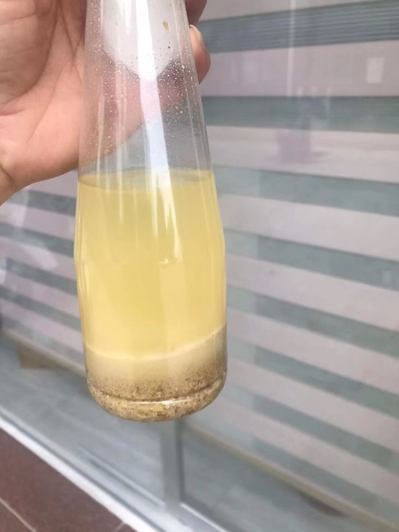 豆饼