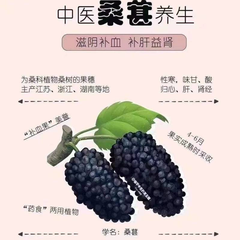 桑葚干批发干黑桑葚散装无沙食用桑葚干量大价优承接大货