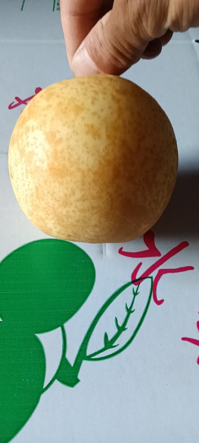 纸袋酥脆，翠冠梨，黄金梨，丰水梨，秋月梨，新高梨批发