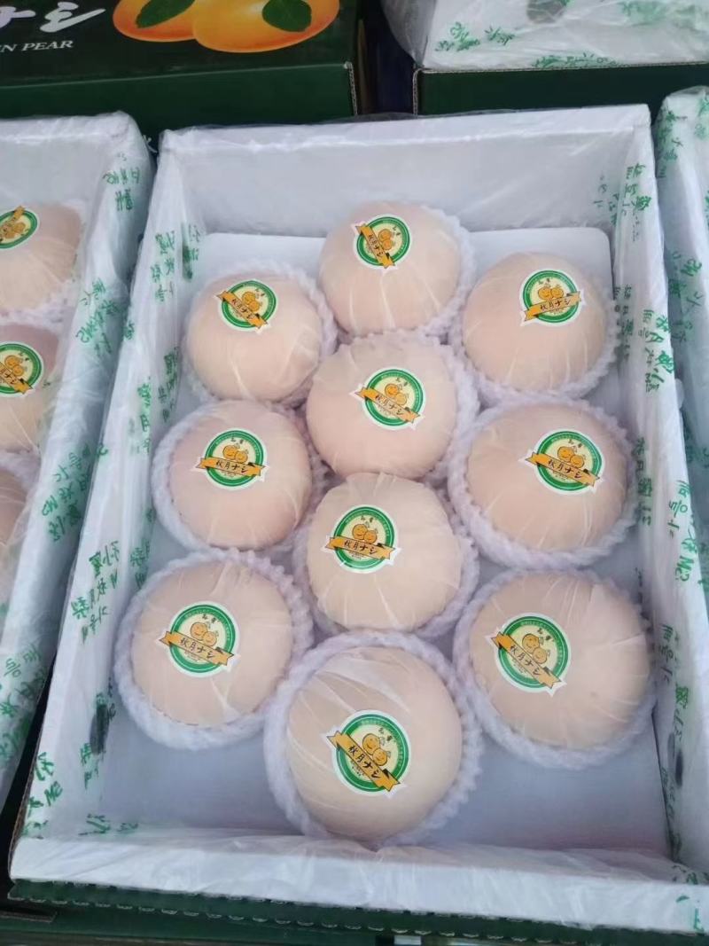 纸袋酥脆，翠冠梨，黄金梨，丰水梨，秋月梨，新高梨批发