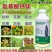 氨基酸钙镁叶面肥料水溶肥柑橘果树授粉膨大防裂增甜上色茶树