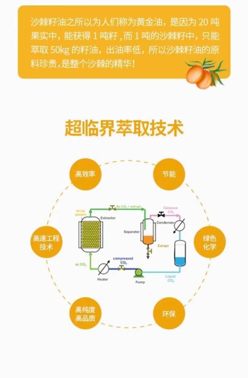 新疆沙棘果油，沙棘籽油软胶囊