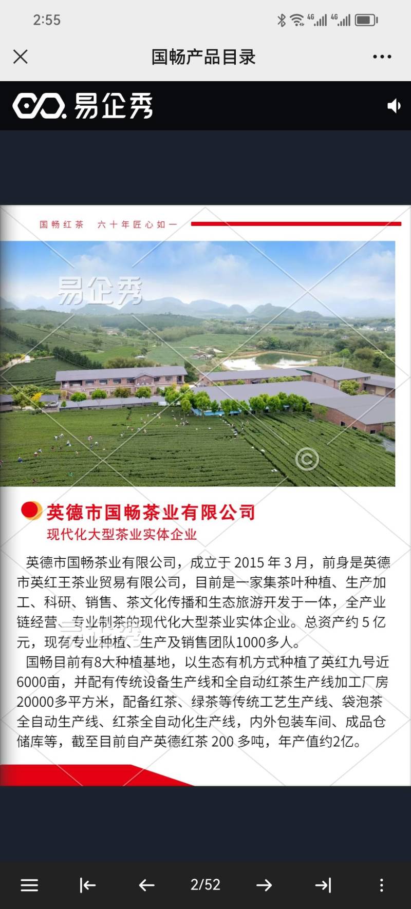 英德红茶