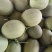 [推荐]甘肃小蜜25号哈密瓜