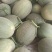 [推荐]甘肃小蜜25号哈密瓜