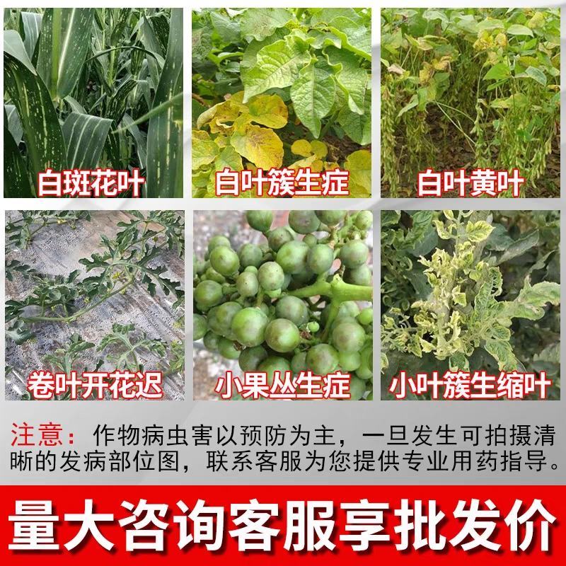 国光锌肥硫酸锌花卉果树水稻玉米蔬菜作物叶面肥微肥锌