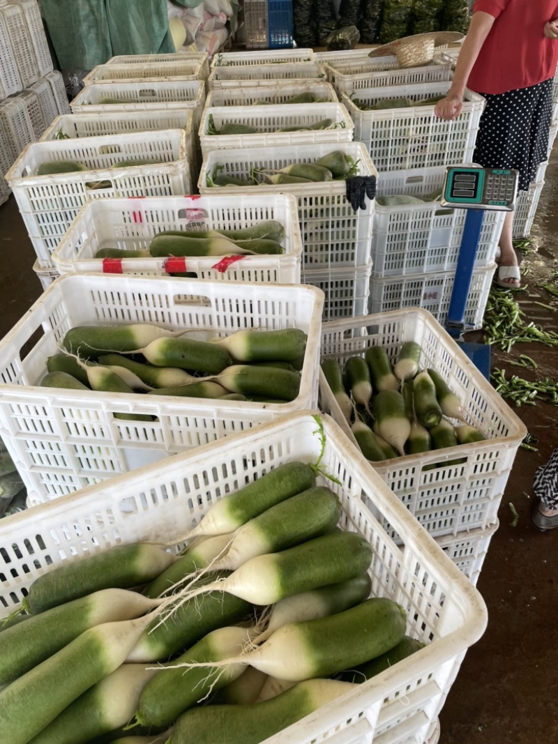 需要的朋友可以联系我