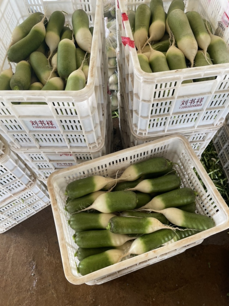 需要的朋友可以联系我