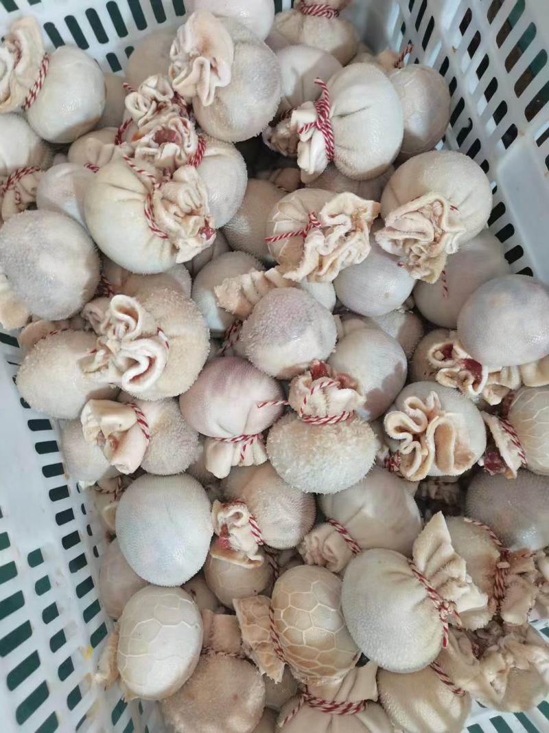 网红肚包脑肚包肉