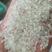 碎大米碎糯米碎江米大碎小碎抛光碎米全国发货